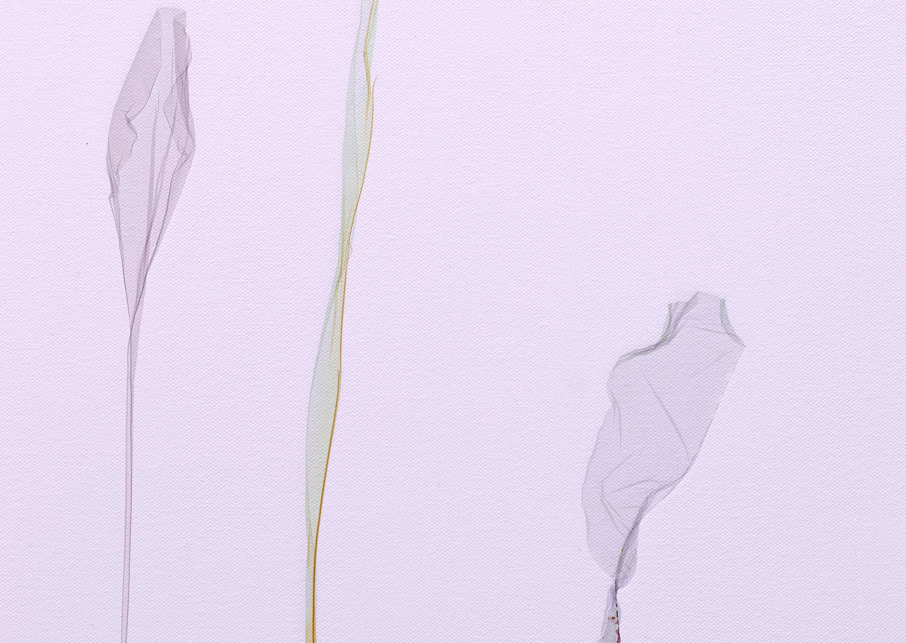 New York Flowers - Beatrice Pediconi Beatrice Pediconi, Dario Lasagni