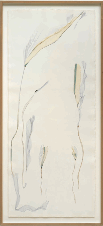 The grey forest (after Max Ernst) - Beatrice Pediconi Beatrice Pediconi, Dario Lasagni