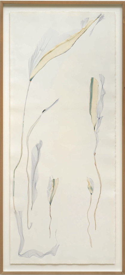 The grey forest (after Max Ernst) - Beatrice Pediconi Beatrice Pediconi, Dario Lasagni