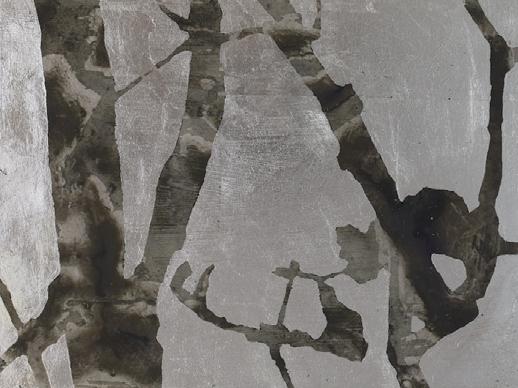 o.T. (Äste) - Birgit Nadrau 