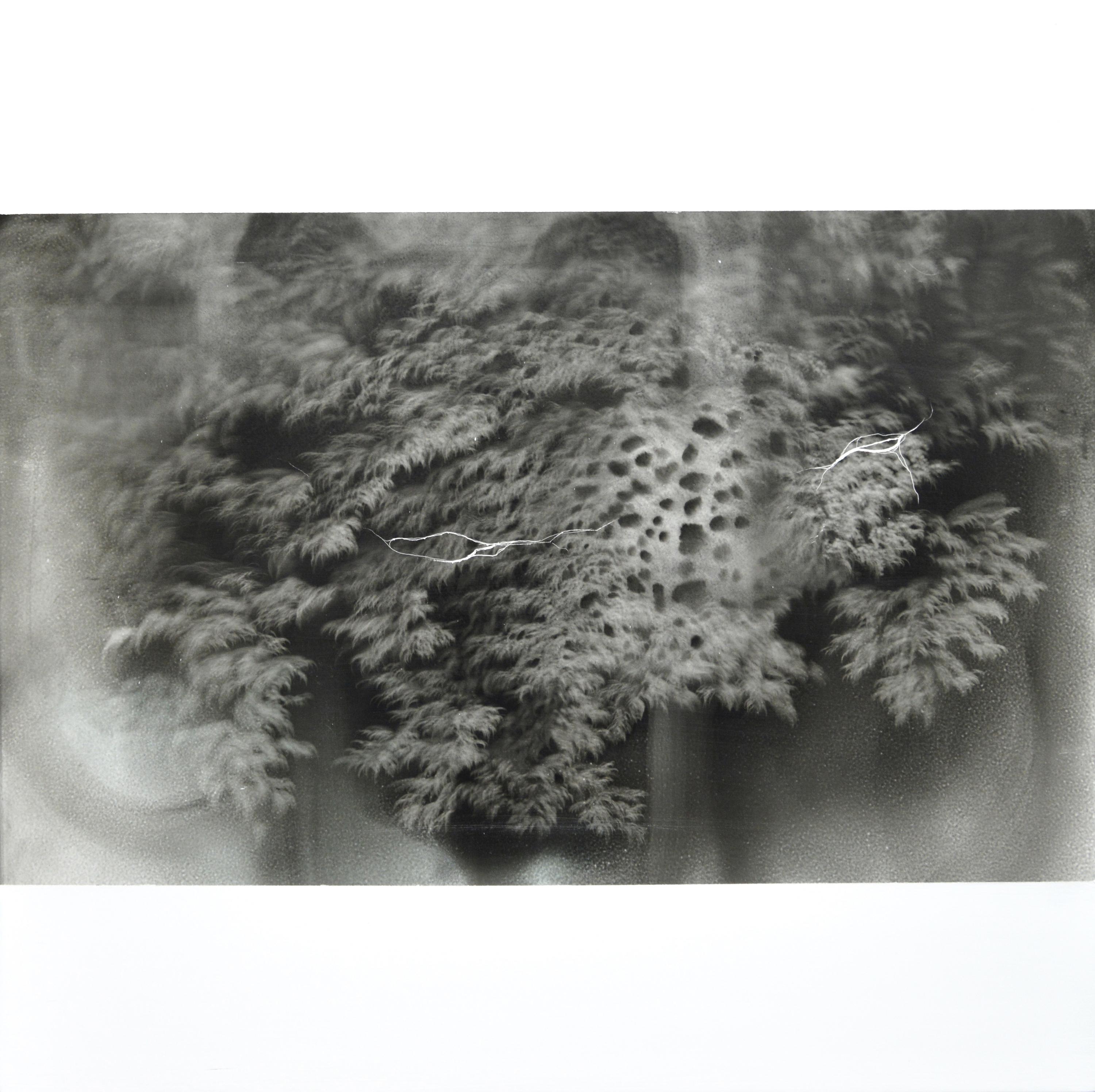 g19][164d - Giulia Dall'Olio 