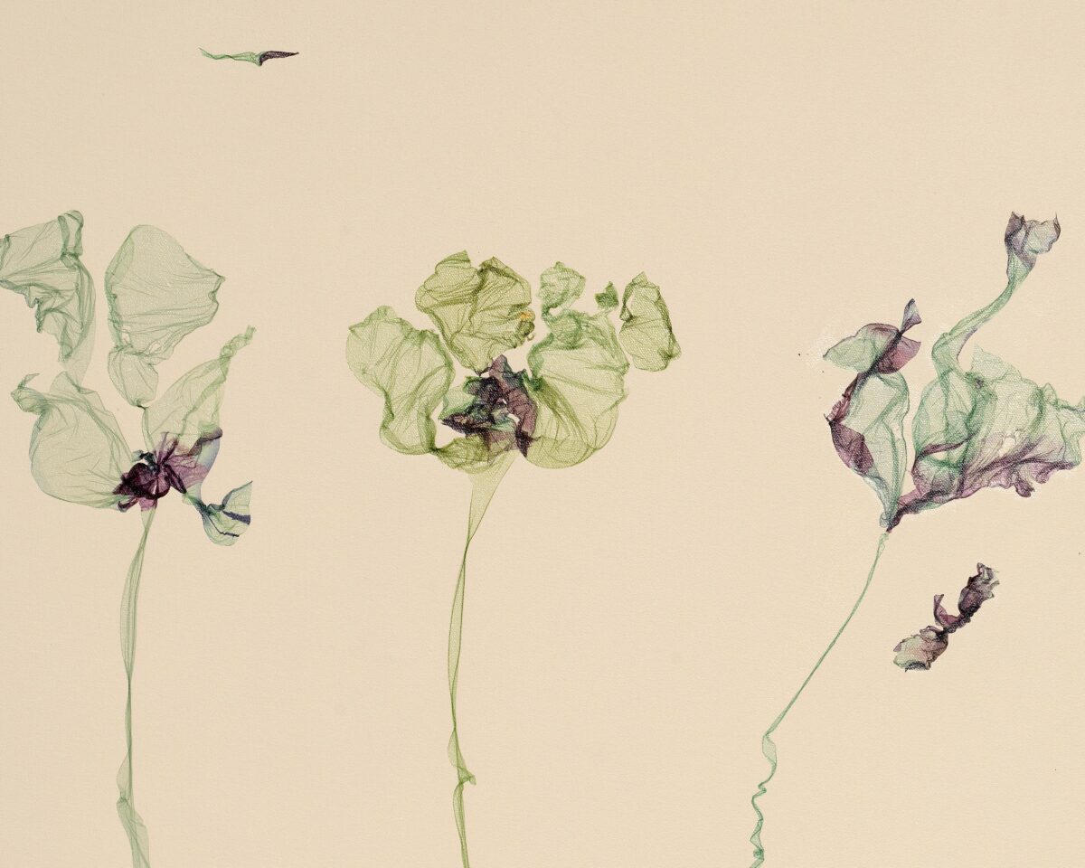 The pine appears to listen, the fir to wait - Beatrice Pediconi 