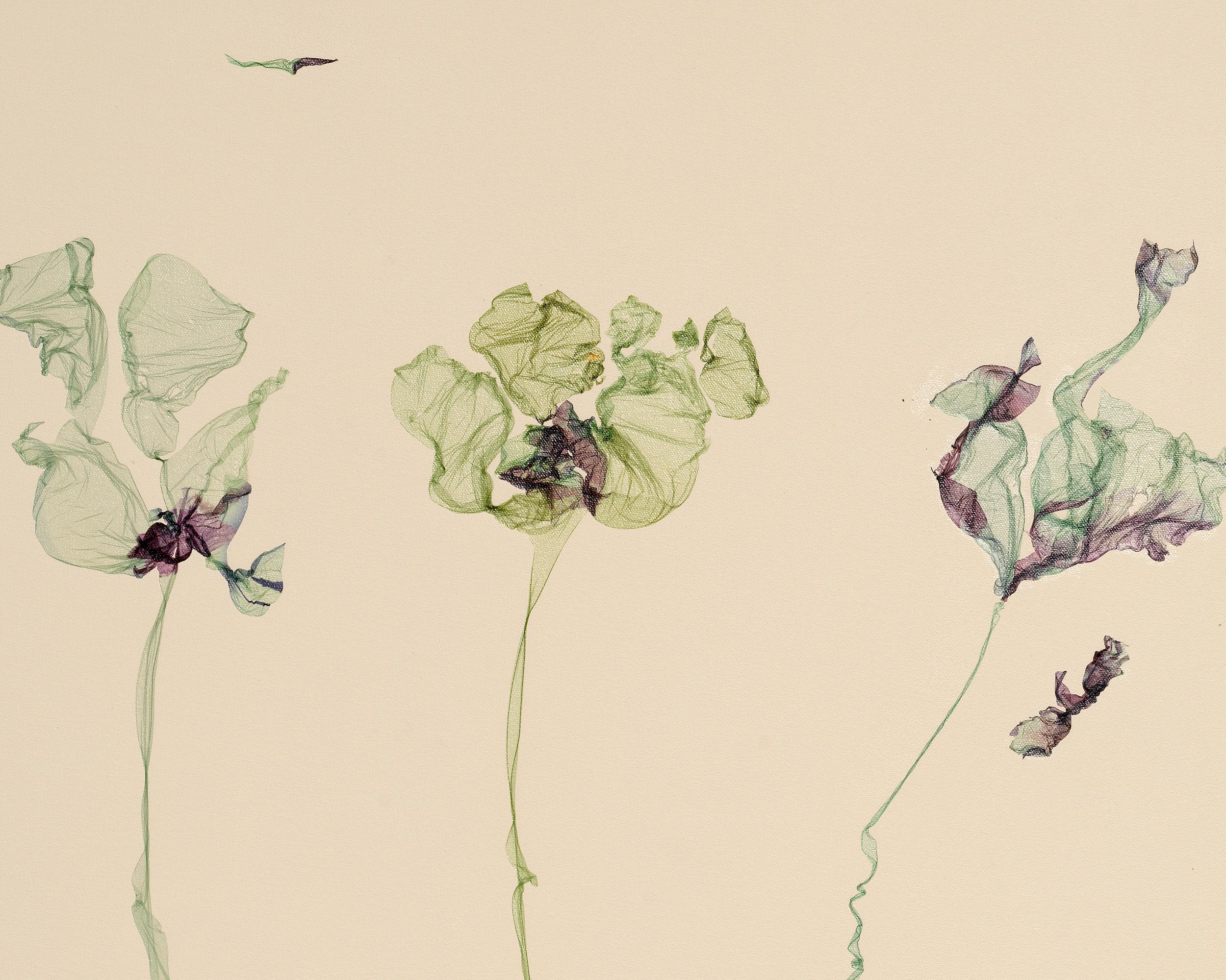 The pine appears to listen, the fir to wait - Beatrice Pediconi 