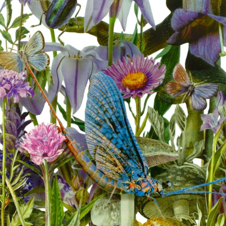 FLORA - Asta von Unger, Beatrice Pediconi, Birgit Nadrau, Clare Celeste, Marina Gasparini 
