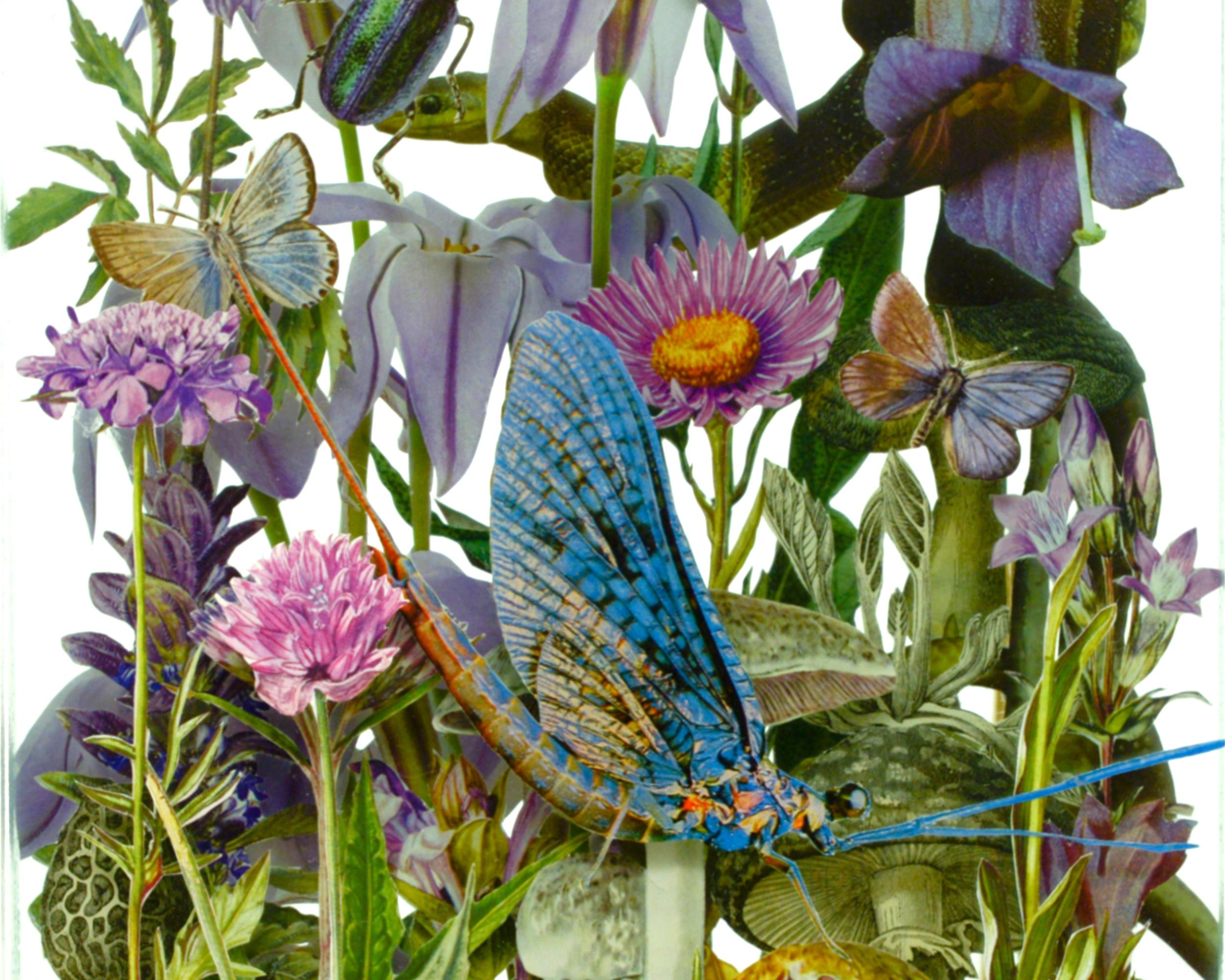 FLORA - Asta von Unger, Beatrice Pediconi, Birgit Nadrau, Clare Celeste, Marina Gasparini 