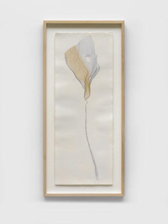 To live against nature is to live against life (after Friedrich Nietzsche) - Beatrice Pediconi Beatrice Pediconi, Dario Lasagni