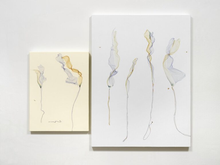 And the wind rocked the pale water lilies; the tall water lilies, among the reeds, shimmered sadly on the calm water (after Paul Verlaine) - Beatrice Pediconi Dario Lasagni