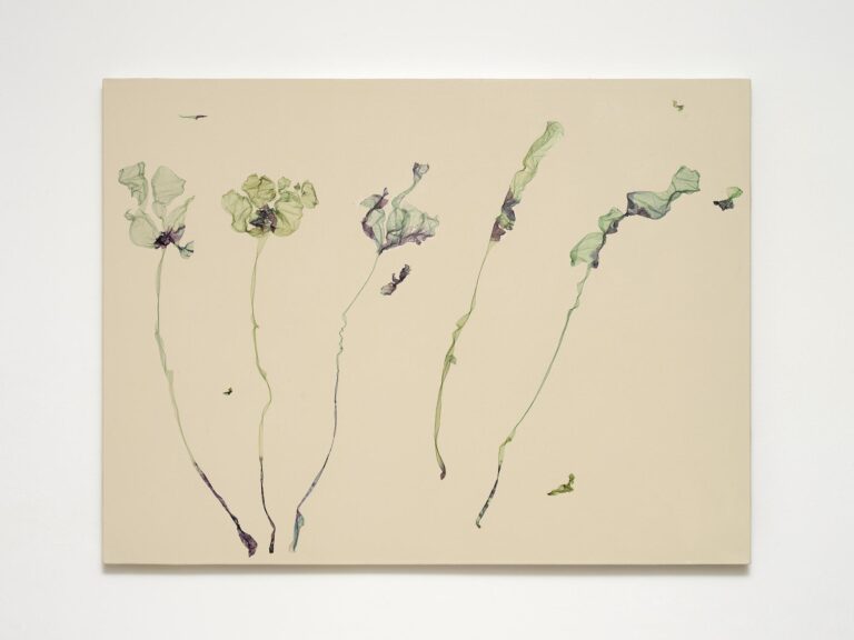 Flowers are the music of the ground (after Edwin Curran) - Beatrice Pediconi Dario Lasagni