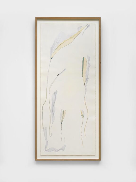 The grey forest (after Max Ernst) - Beatrice Pediconi Dario Lasagni