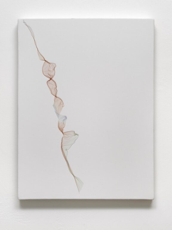 Perhaps it was flowers that made me a painter - Beatrice Pediconi Beatrice Pediconi, Dario Lasagni