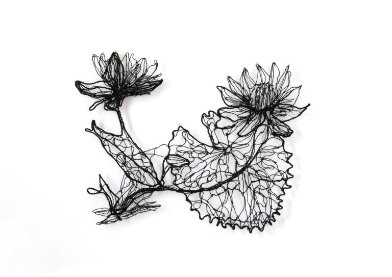 Nymphaea lotus - Marina Gasparini 