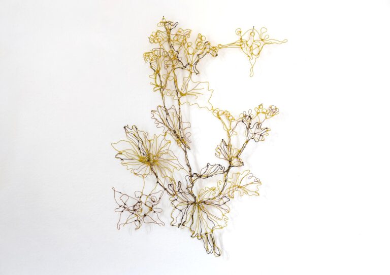 Alchemilla vulgaris - Marina Gasparini 