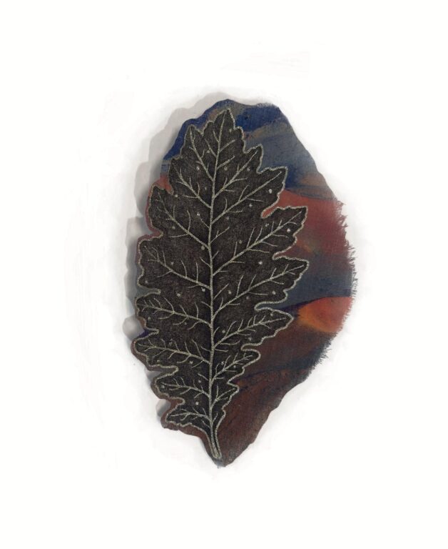 Cyanea quercifolia - Marina Gasparini Marina Gasparini, Marina Gasparini