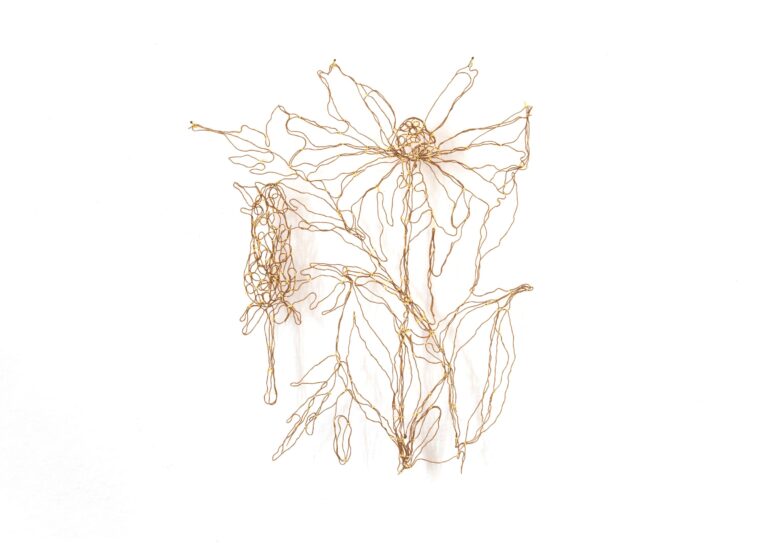 Rudbeckia laciniata - Marina Gasparini 