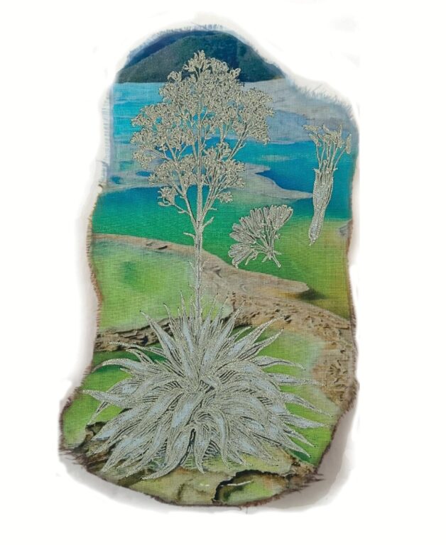 Agave lurida - Marina Gasparini Marina Gasparini, Marina Gasparini