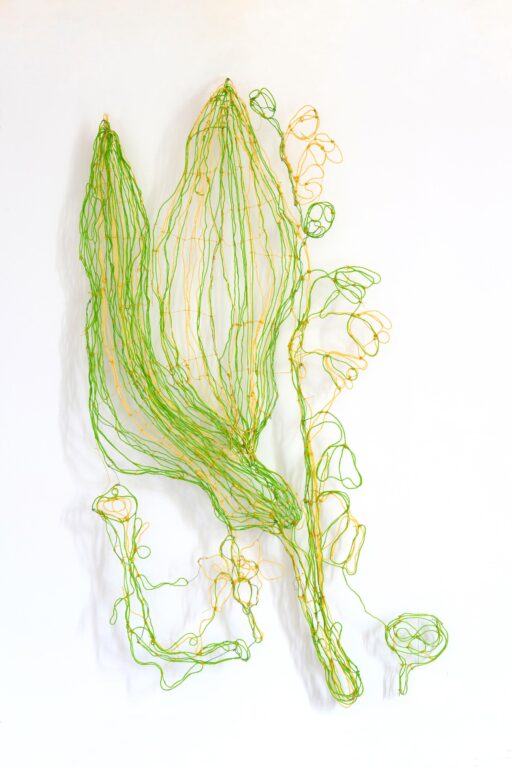 Convallaria majalis - Marina Gasparini 