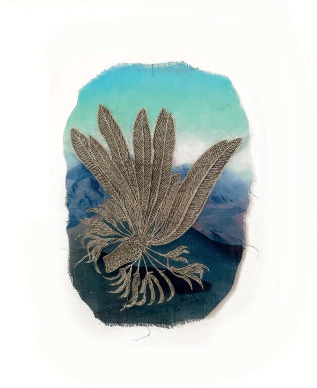 Cyanea pohaku - Marina Gasparini Marina Gasparini, Marina Gasparini