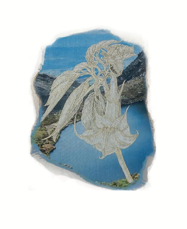 Brugmansia arborea, Borrachero - Marina Gasparini Marina Gasparini, Marina Gasparini