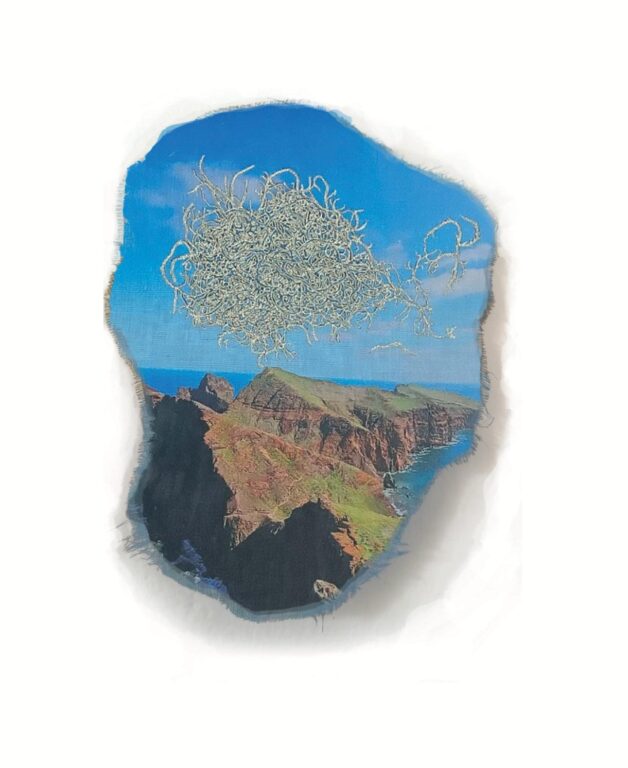 Nobregaea latinervis - Marina Gasparini Marina Gasparini, Marina Gasparini