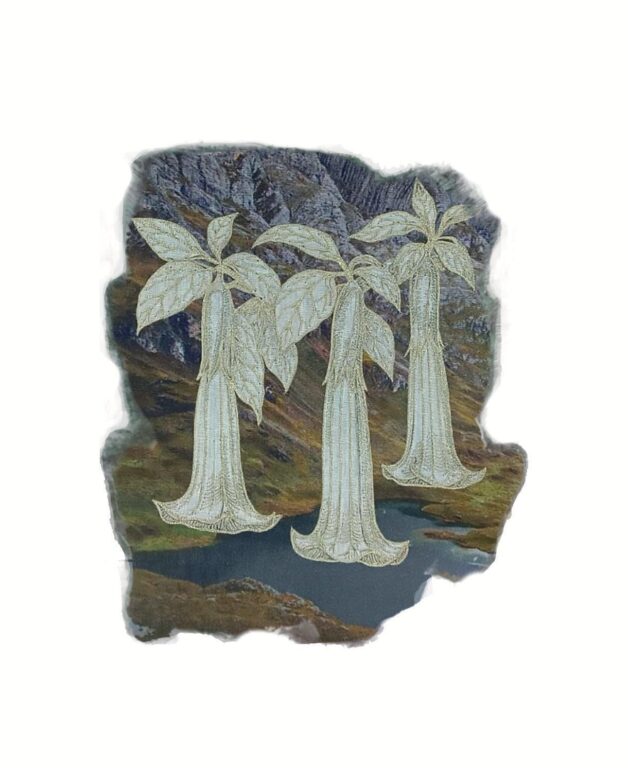 Brugmansia sanguinea - Marina Gasparini Marina Gasparini, Marina Gasparini