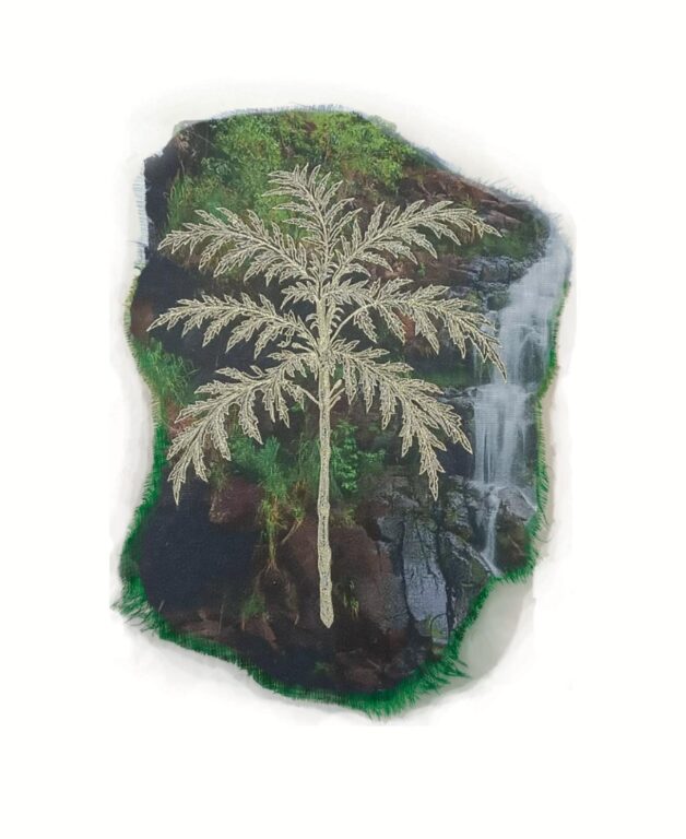 Cyanea pinnatifida - Marina Gasparini Marina Gasparini, Marina Gasparini