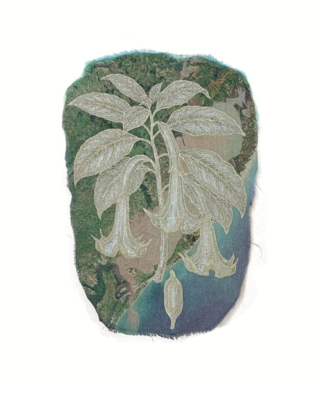 Brugmansia suaveolens - Marina Gasparini Marina Gasparini, Marina Gasparini