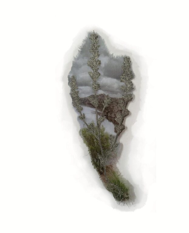 Euphrasia mendoncae - Marina Gasparini Marina Gasparini, Marina Gasparini