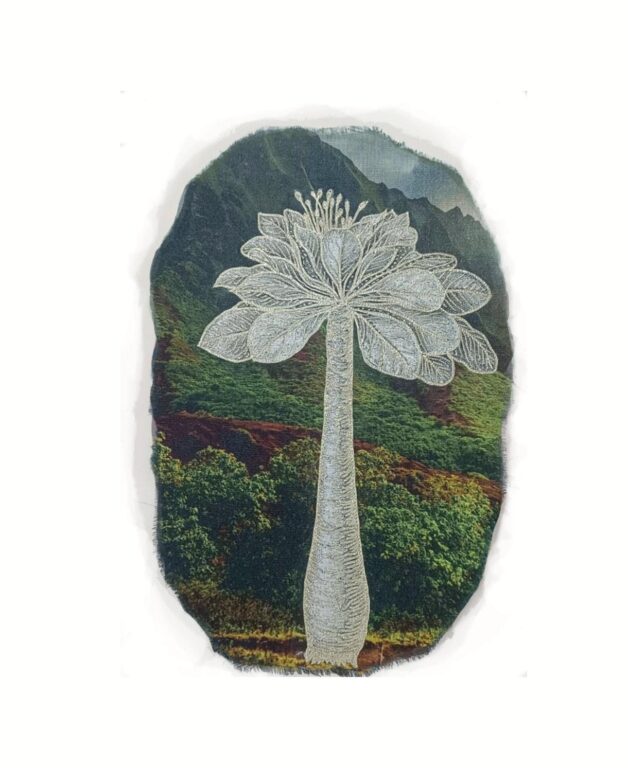 Brighamia insignis, ālula - Marina Gasparini Marina Gasparini, Marina Gasparini