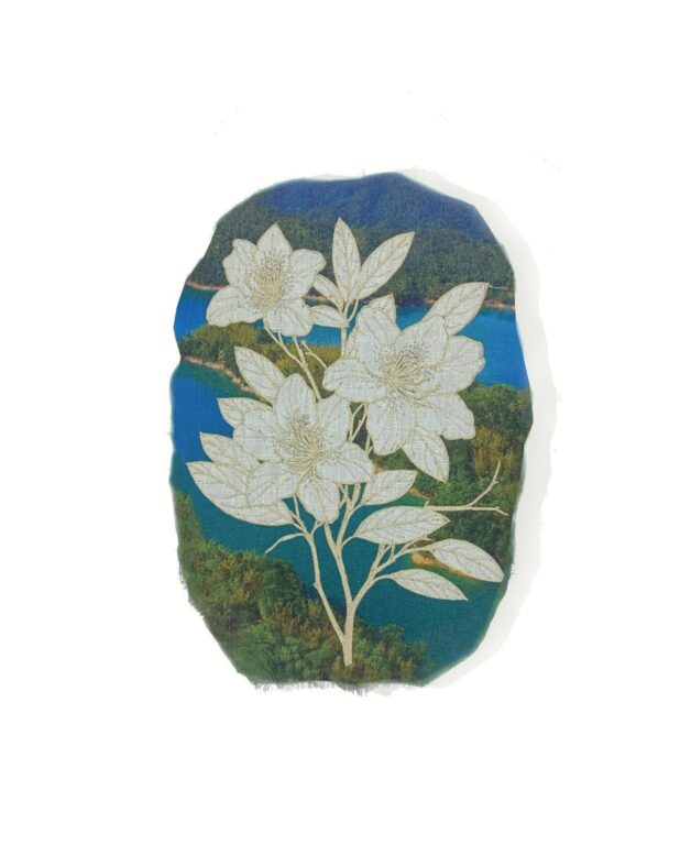 Rhododendron kanehirai - Marina Gasparini Marina Gasparini, Marina Gasparini