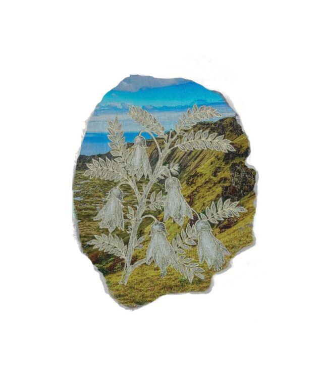 Sophora toromiro, Toromiro - Marina Gasparini Marina Gasparini, Marina Gasparini