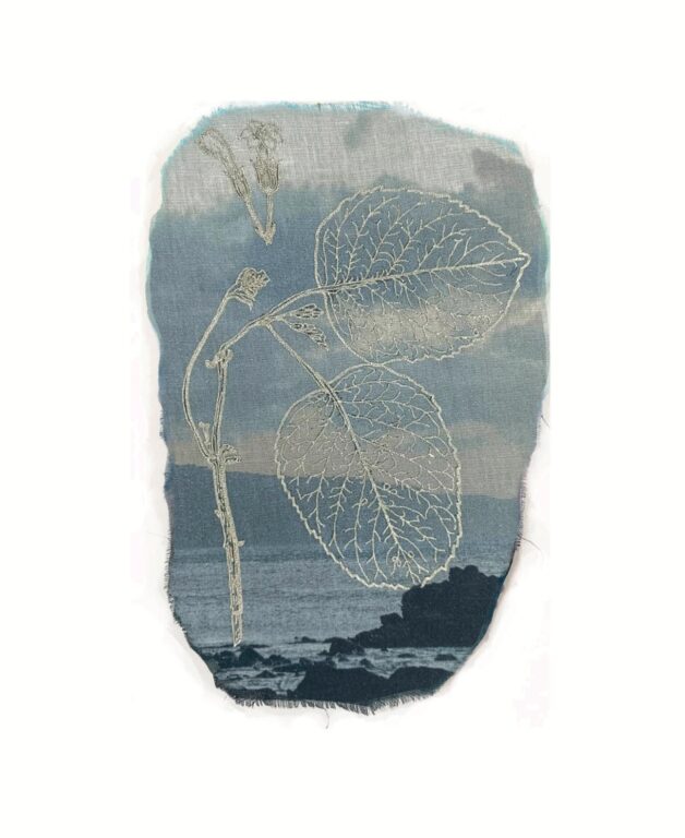 Cyrtandra olona - Marina Gasparini Marina Gasparini, Marina Gasparini