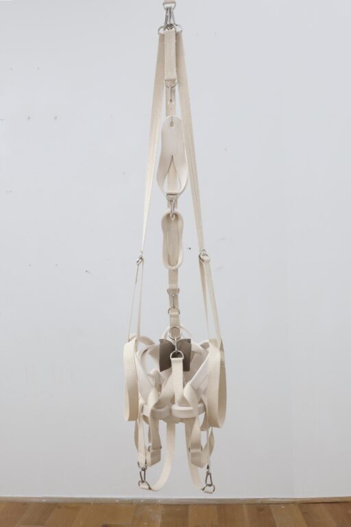 Body VI (Pelvis) - Johanna Strobel Domenik Bindl, Domenik Bindl