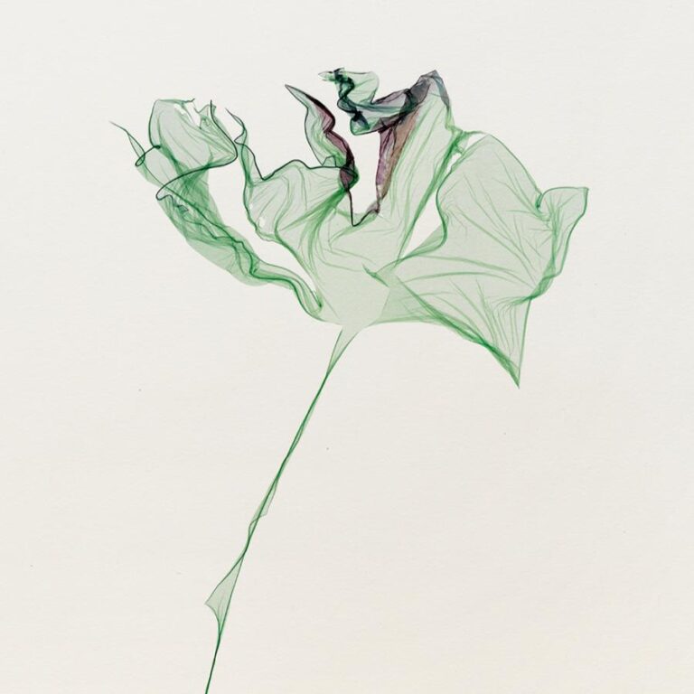 The pine appears to listen, the fir to wait - Beatrice Pediconi 