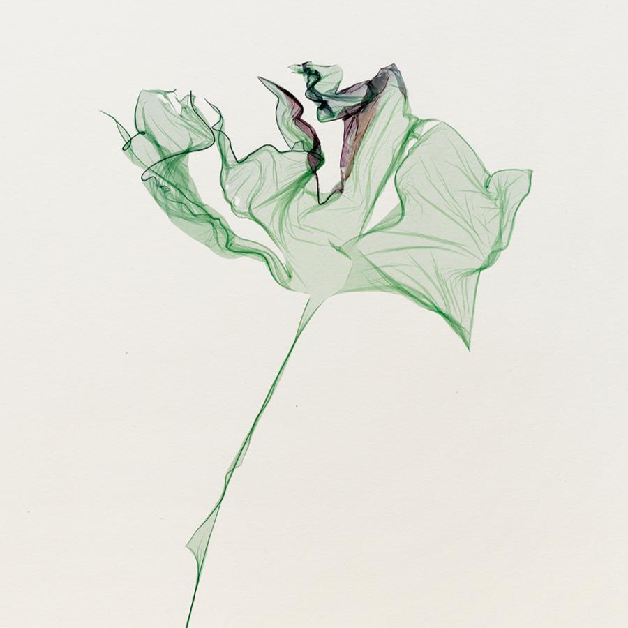 The pine appears to listen, the fir to wait - Beatrice Pediconi 