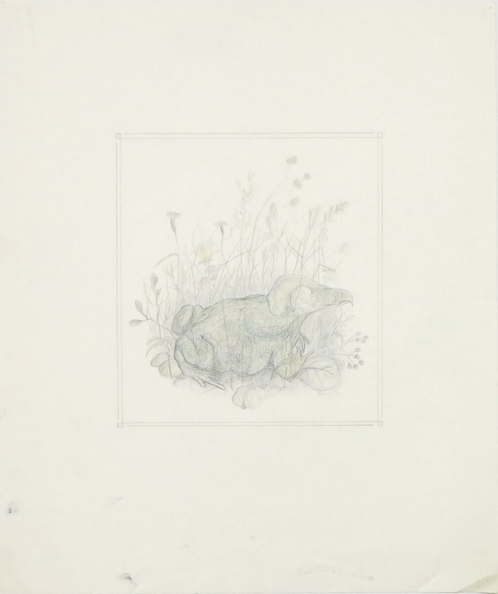 Z-0073: Ohne Titel (Vogelfrosch im Gras) - Henning von Gierke 