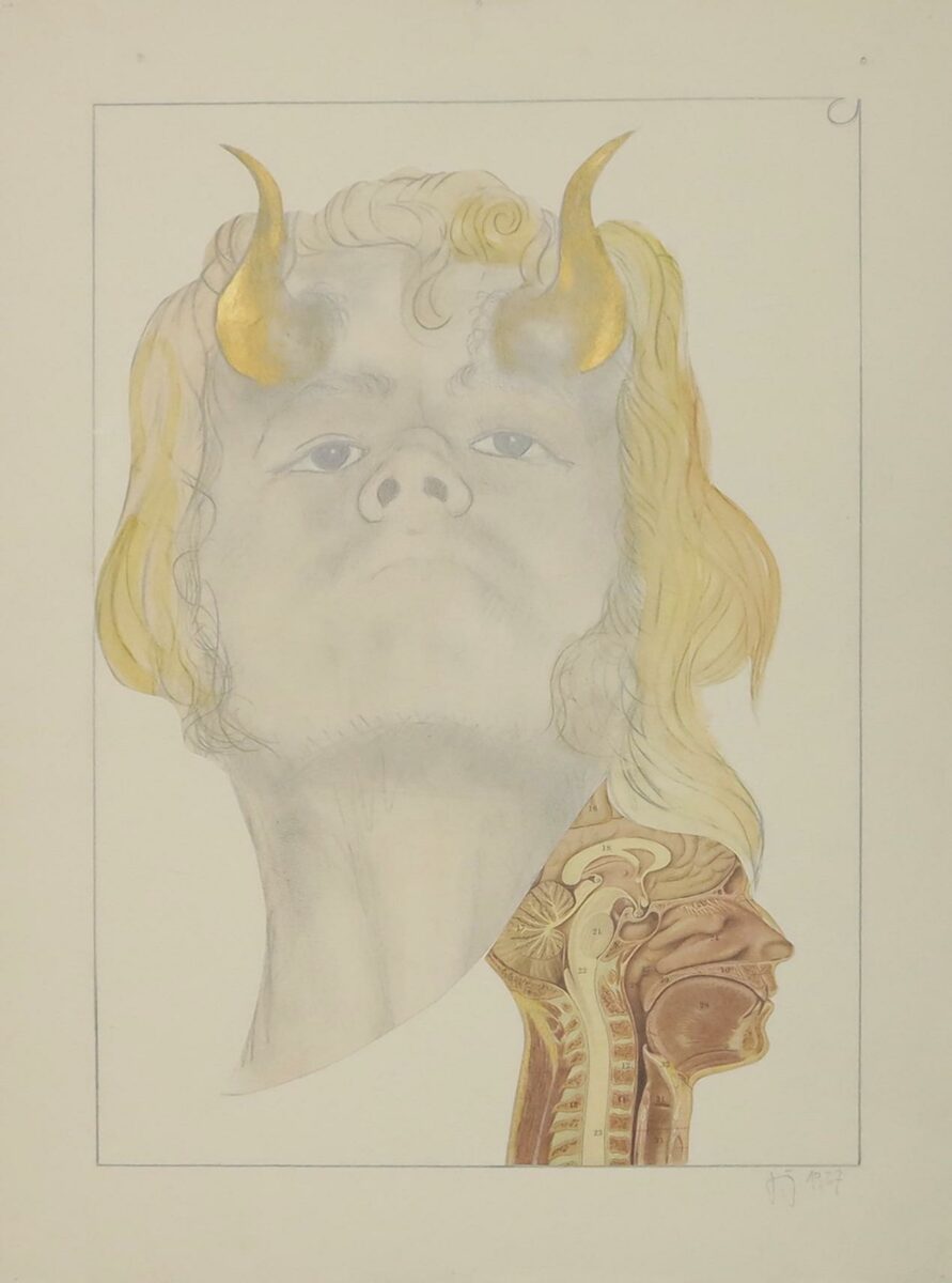 Z-0009: Ohne Titel (Selbstbild mit Hörnern) - Henning von Gierke 