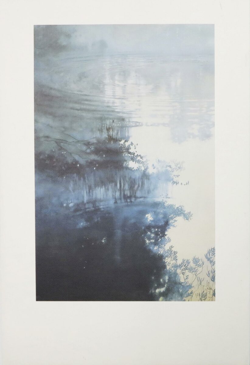 Z-0093: Bäume im See - Henning von Gierke 