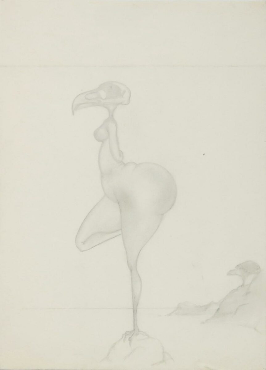 Z-0015: Ohne Titel (Vogelfrau II) - Henning von Gierke 