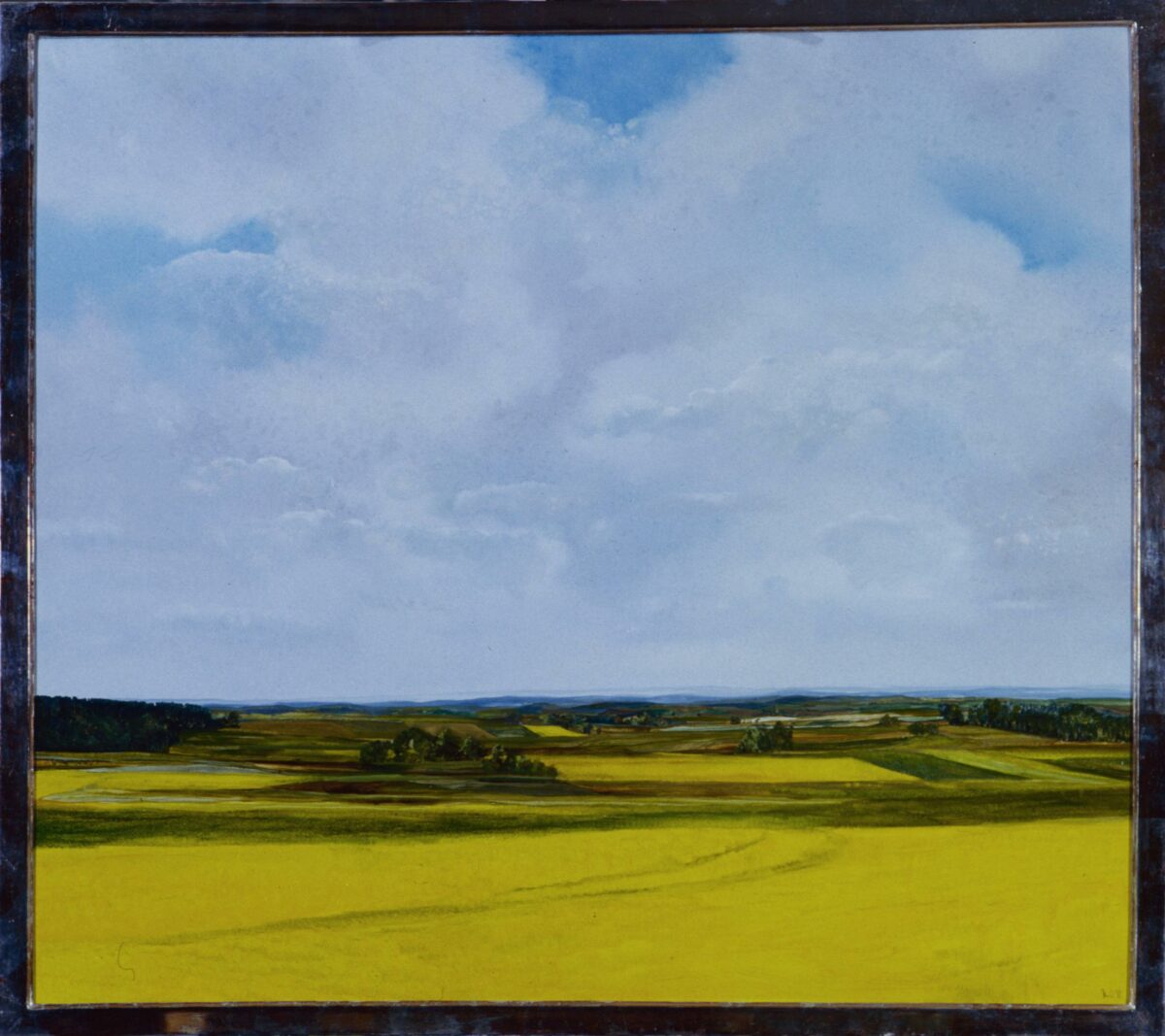 WV-Nr. 0651: Rapsfeld IV - Henning von Gierke 