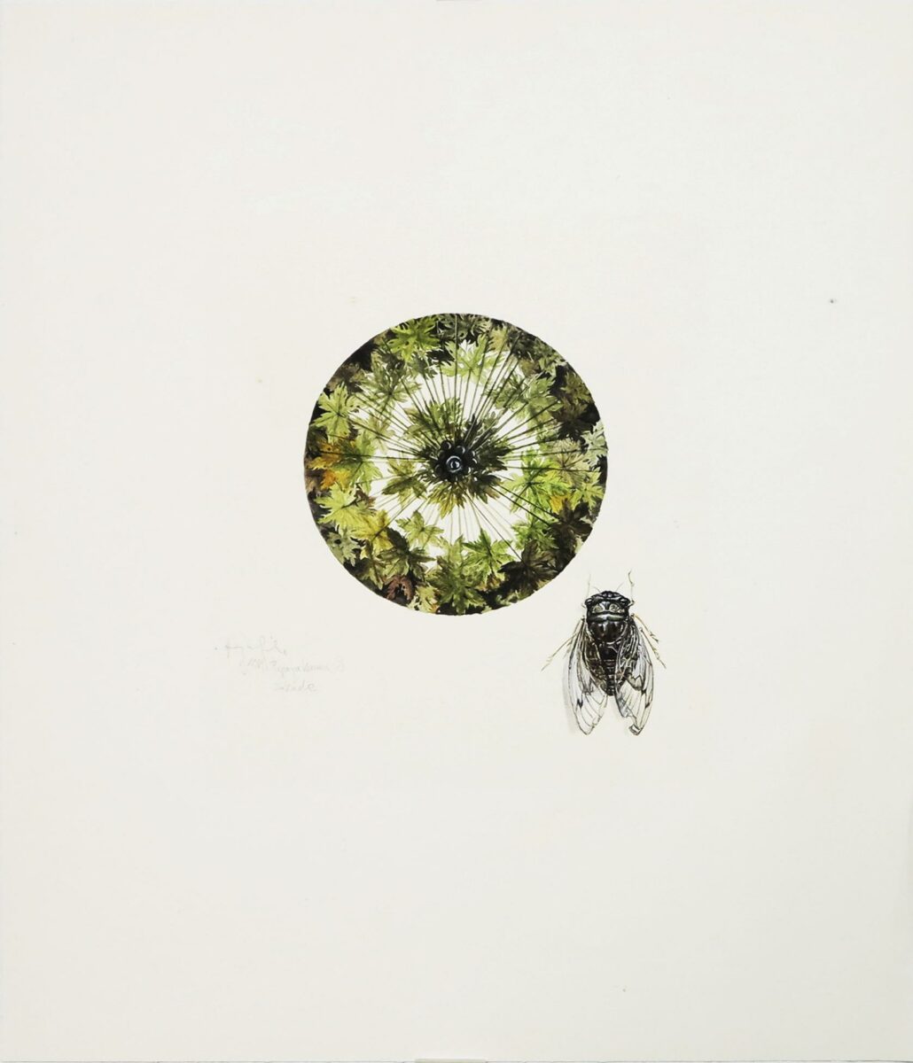 Z-0084: Papaya-Baum und Zykade - Henning von Gierke 