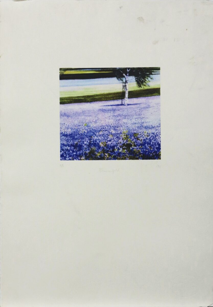 Z-0108: Blumenfeld - Henning von Gierke 