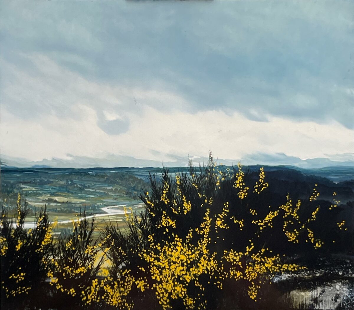 WV-Nr. 0698: Ginster - Henning von Gierke 