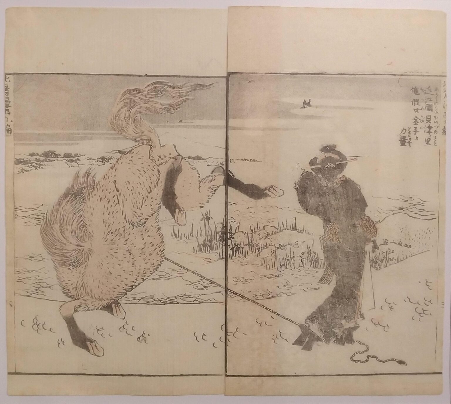The Strength of Kugatsume Kaneko of Kaizu in Omi Province, Dyptichon - Katsushika Hokusai 