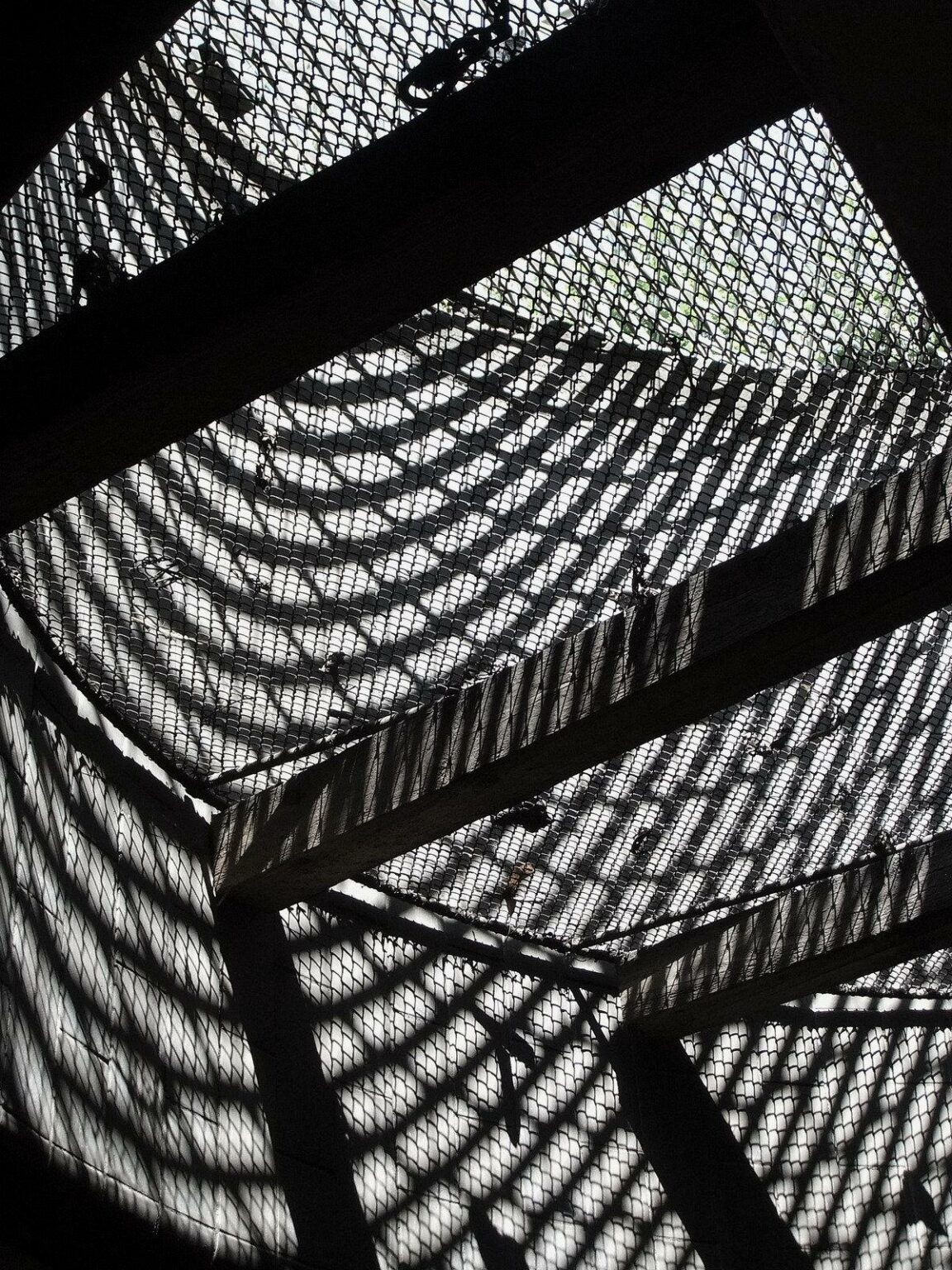 untitled (architecture studies) - Oskar Friese 