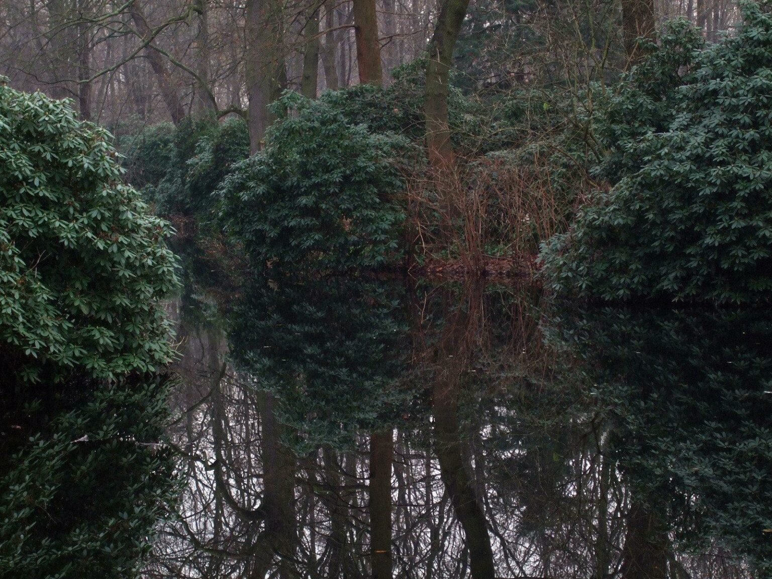 untitled - Oskar Friese 