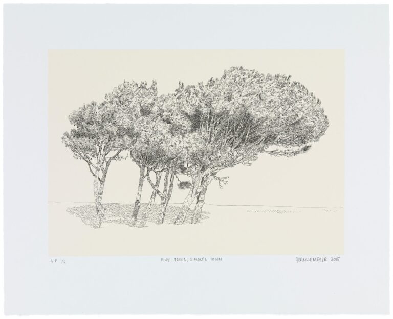 Pine Trees, Simon’s Town - Anton Kannemeyer 