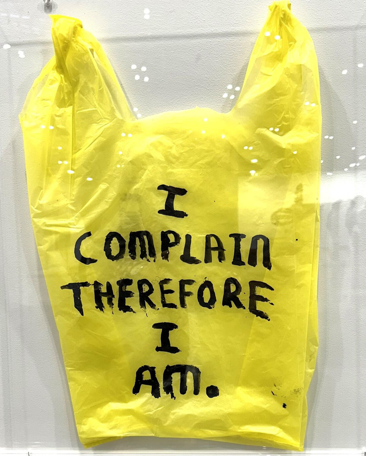Letter No. 261 - Driton Selmani 