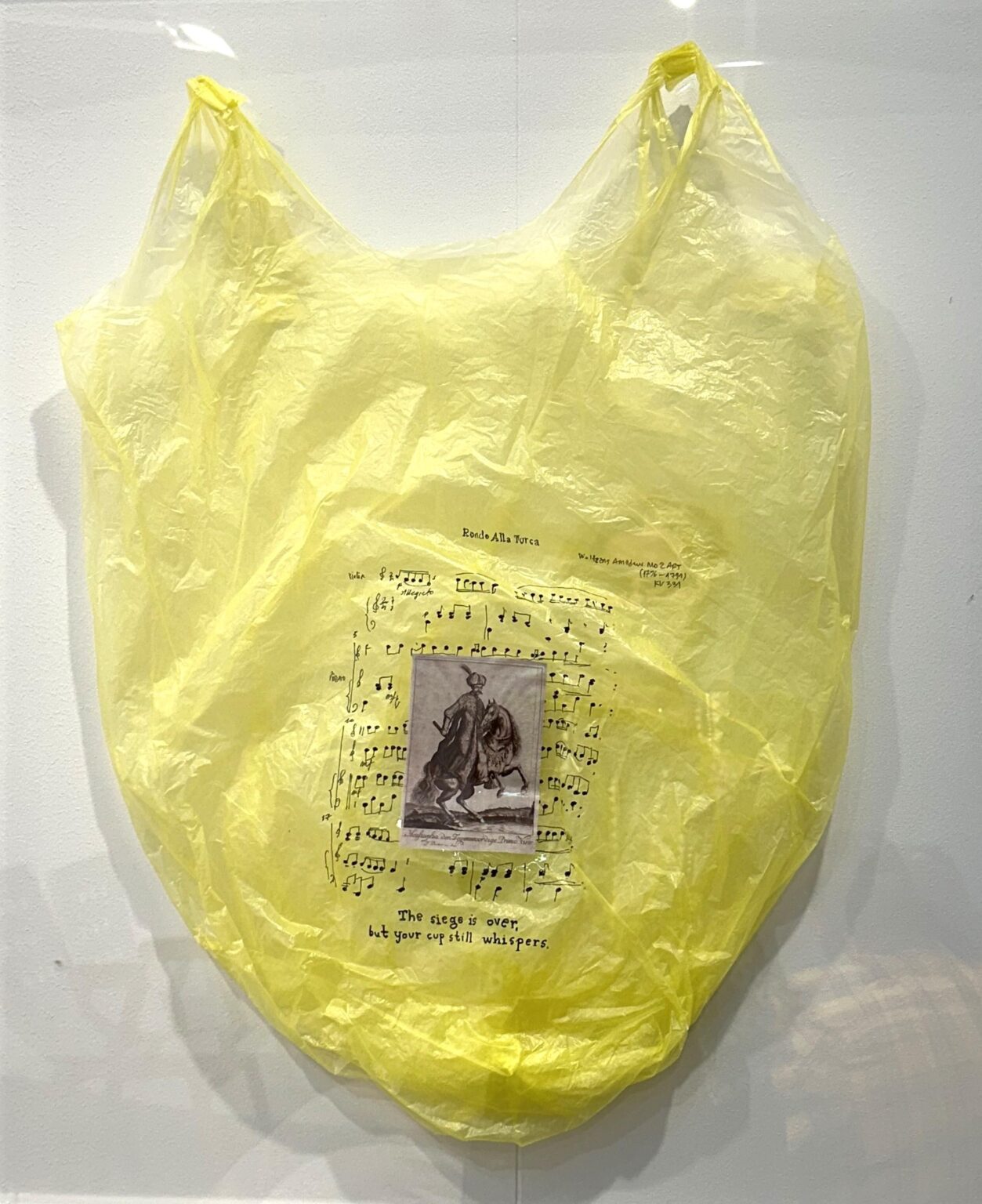 Letter No. 1684 - Driton Selmani 