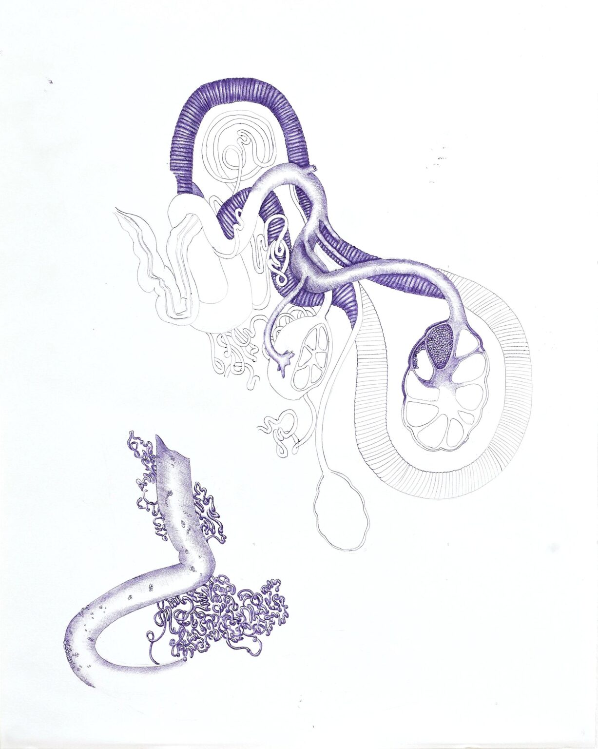 (In)Complete I - Assunta Abdel Azim Mohamed 