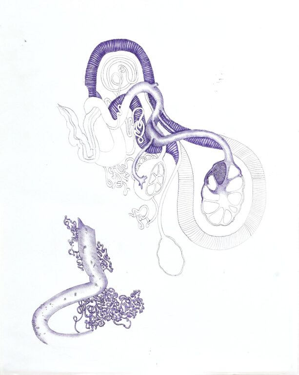 (In)Complete I - Assunta Abdel Azim Mohamed 